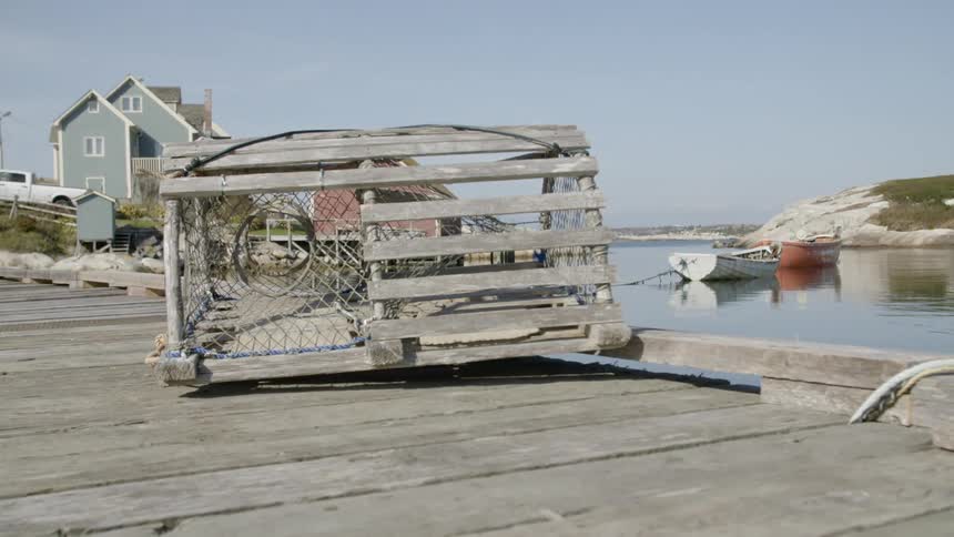 A fishing cage sits on a pier beside a lake and lake house