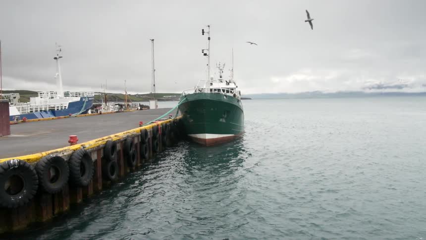 A large ship is docked as birds fly around