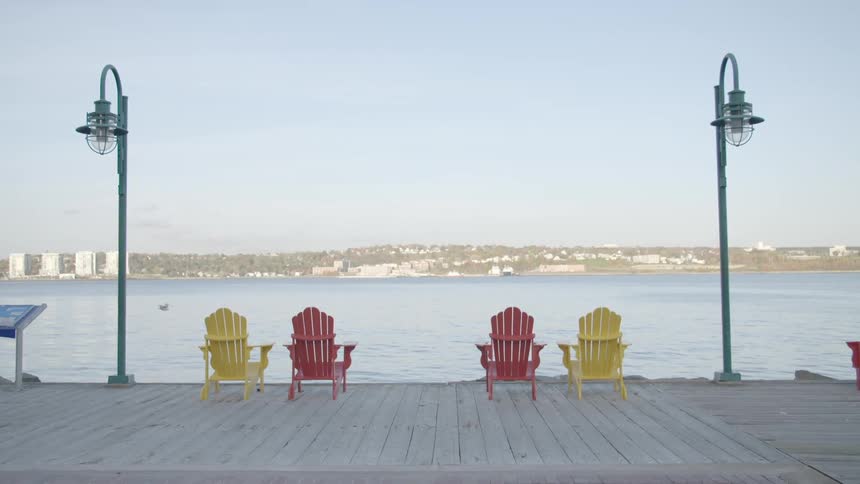 A bird flies by an empty dock with colorful chairs set up looking out at the city and buildings on the opposite shore