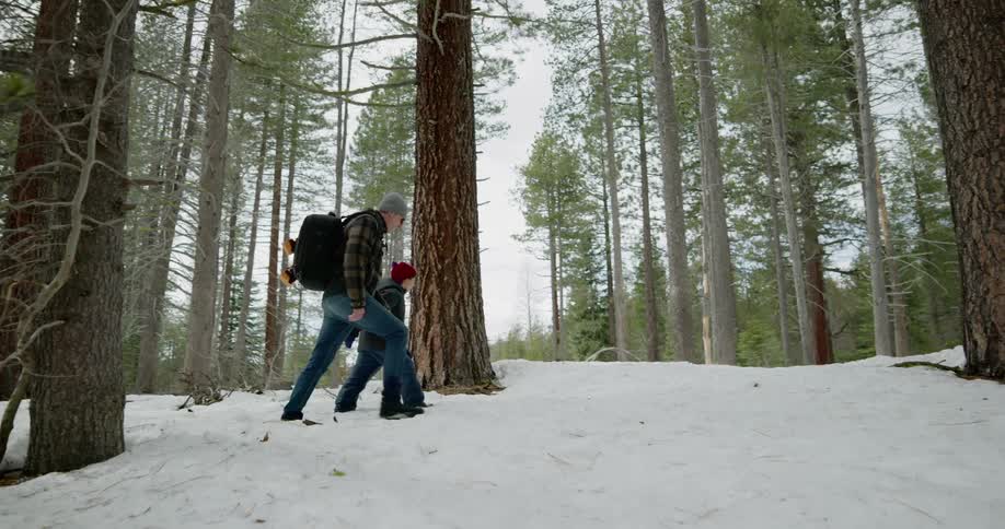 Father and son walk in the snow together through the woods and talk to each other along the way