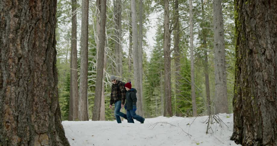 Father and son walks through snow covered pine forest