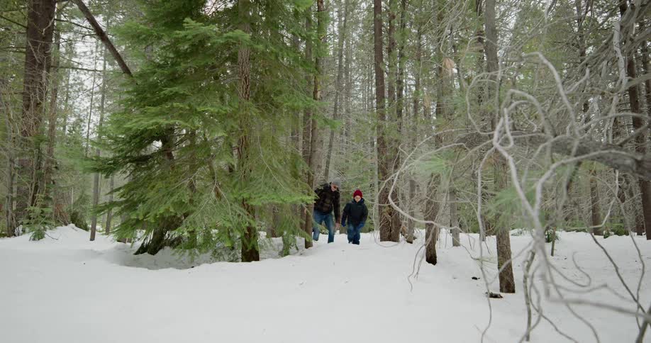 A man and child walk through a snow covered woods area