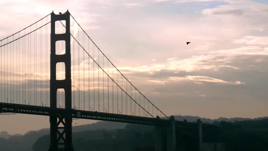 Birds fly near a large bridge at sunset