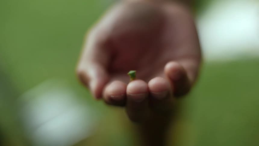 A small insect is sitting in a person's hand before flying away