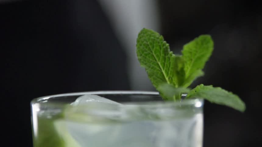 A sprig of mint is dropped in a glass of alcohol