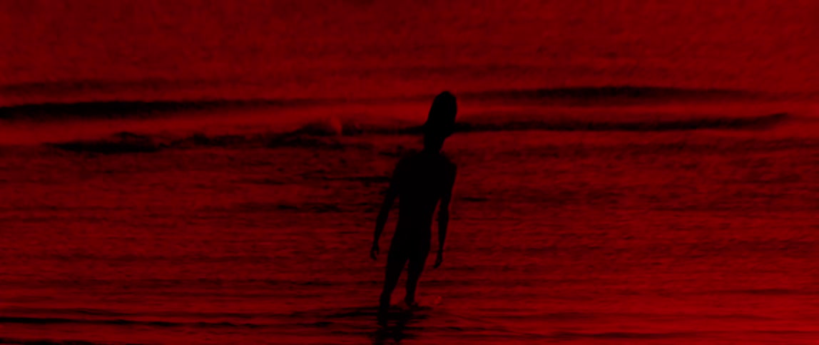 A distended creature walks through the shallow water at a beach