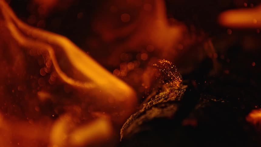 Flames coming off a log