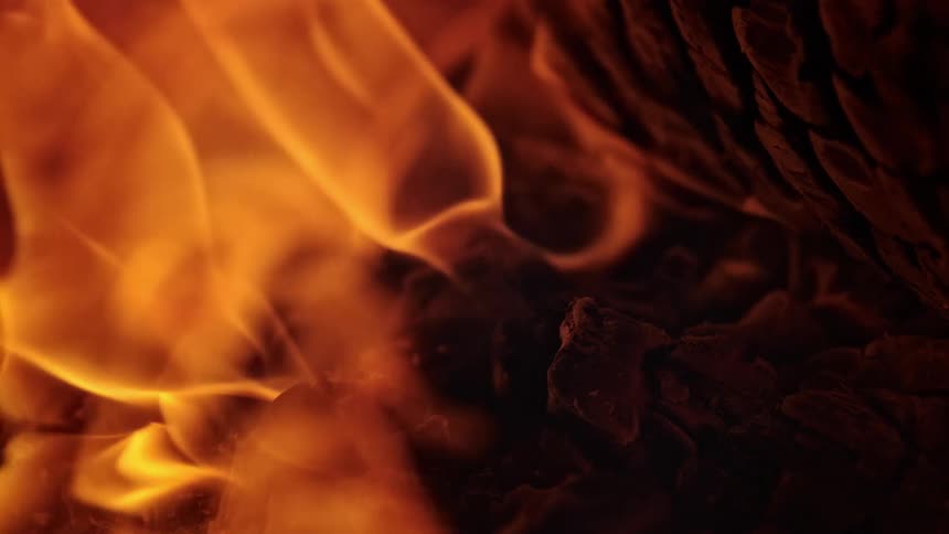 Flames wrap around a log in a fire