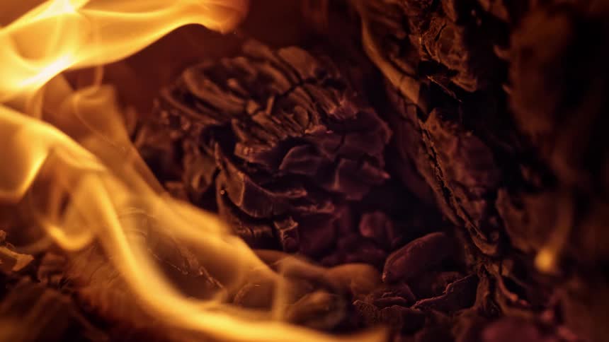 Logs are burning outdoors