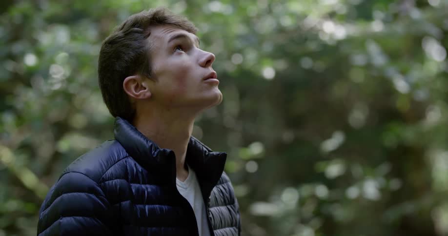 A man is standing outdoors in a forest area