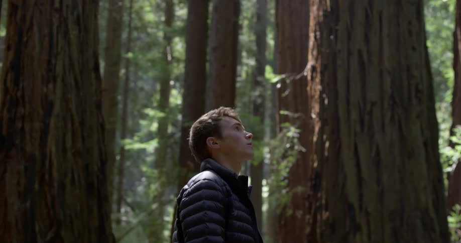 Side view of a man looking up at the tall trees in the forest