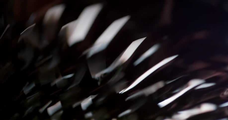 A spiked object made of a flexible jelly material is shaken and wobbles