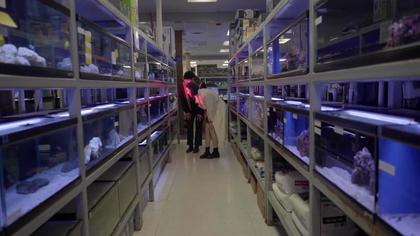 A man and woman look in aquariums in a pet store