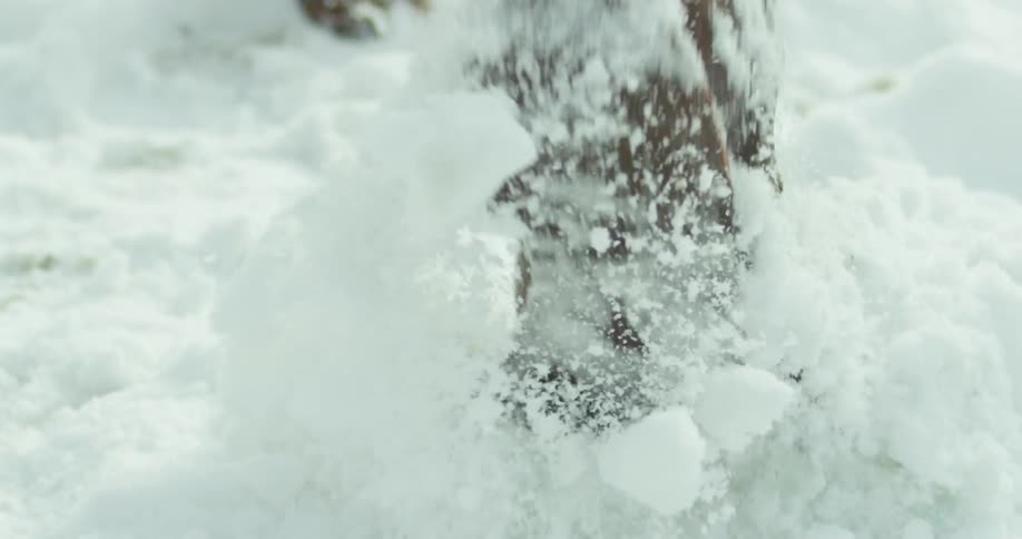 A person is walking in the snow wearing boots