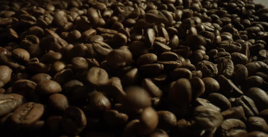 Coffee beans in a factory