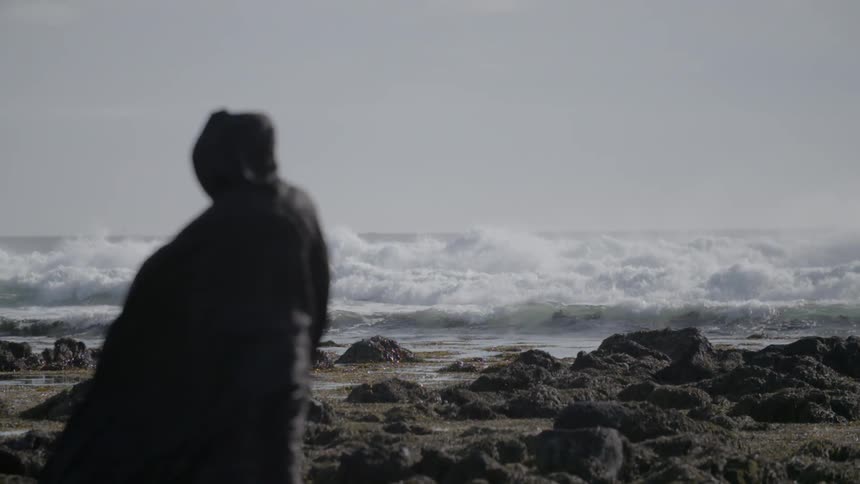 A person stands on a rocky beach looking at the waves