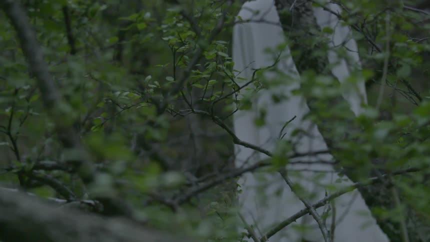 A hooded figure stands behind trees