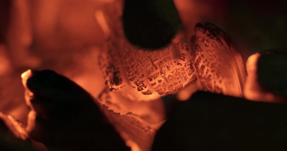Close up of burning coal