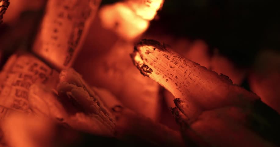 Flames rising from hot coals