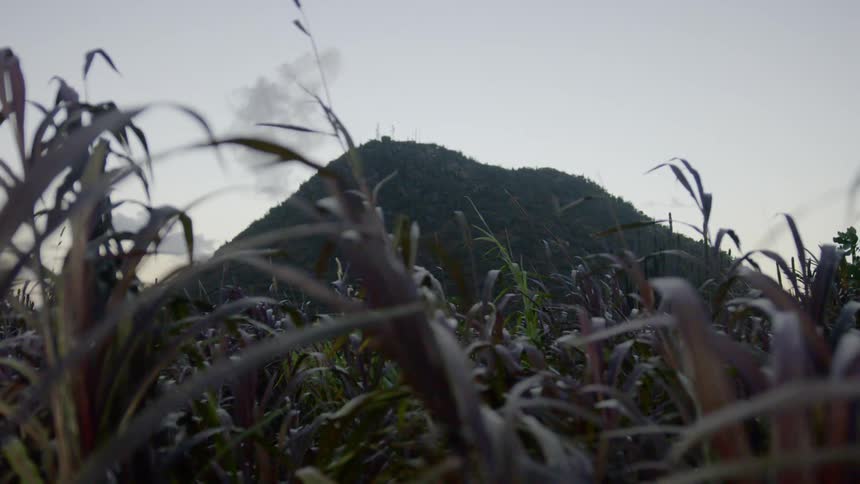 A hill behind a grassy field