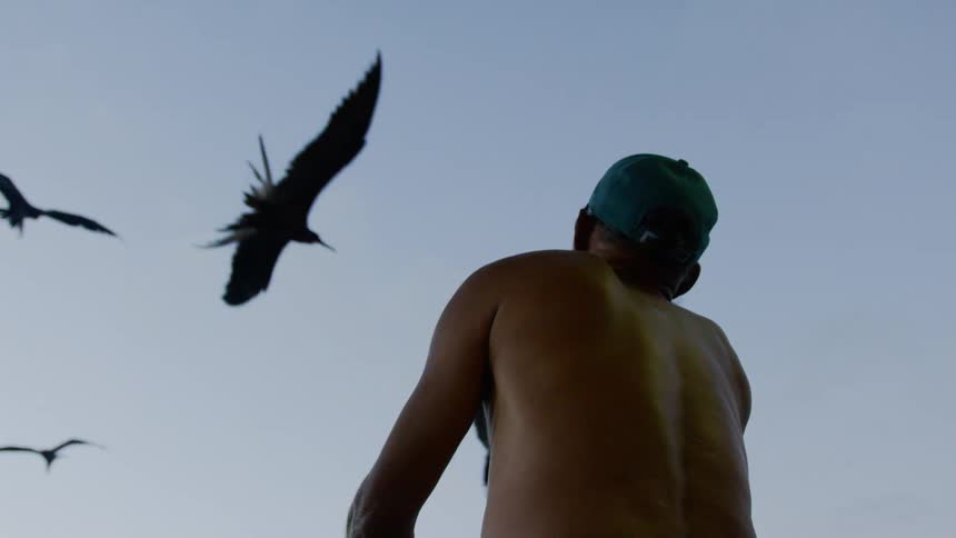 A man looks up at birds flying in the sky