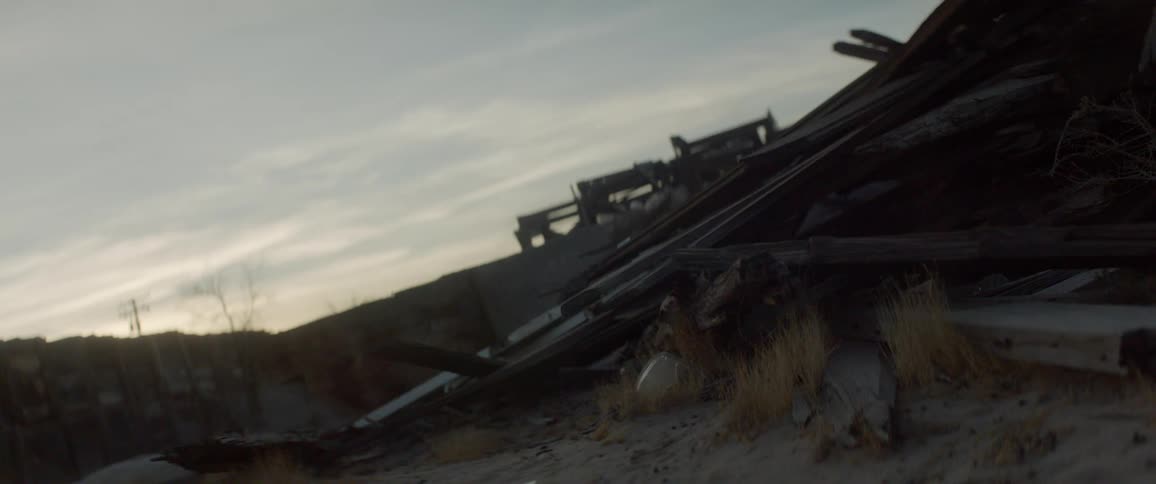 Old rotten plants of wood stacked on the ground in a desert