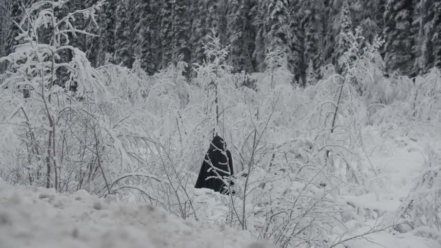A dark, hooded figure stands in the snow