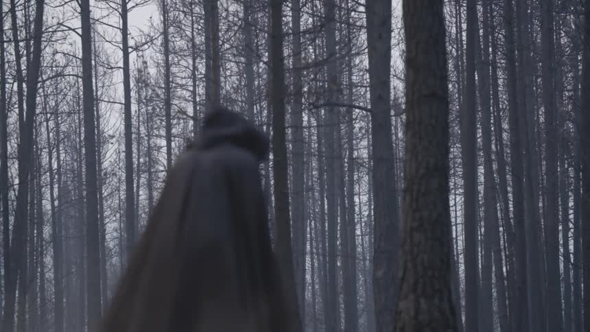 A person wearing dark robes is standing before a dense forest