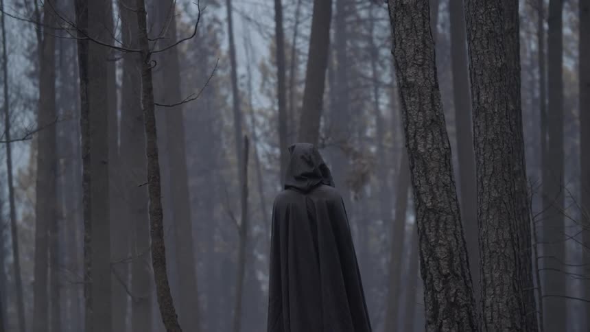 A cloaked figure stands alone in the woods