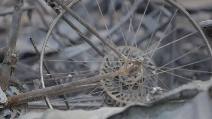 A rusted bike sits in a forest