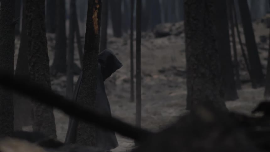 A dark-cloaked person walking through the woods