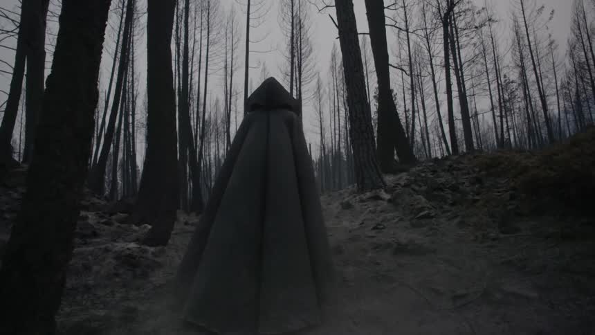 A cloaked figure walks alone in the woods