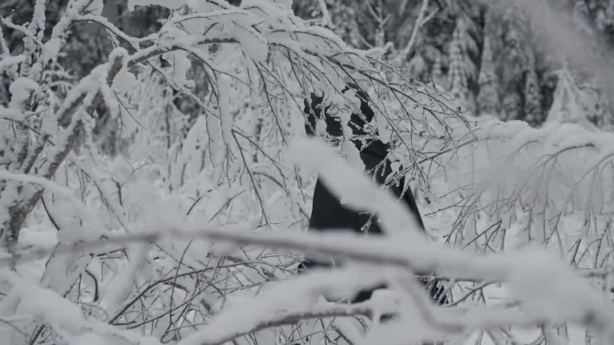A person cloaked in black moves through a snow covered forest