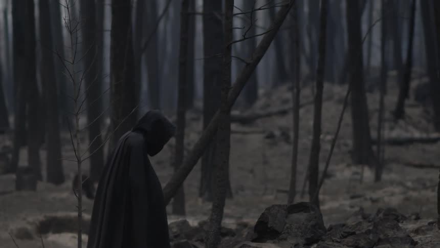 Person wearing black cloak walks through a barren forest