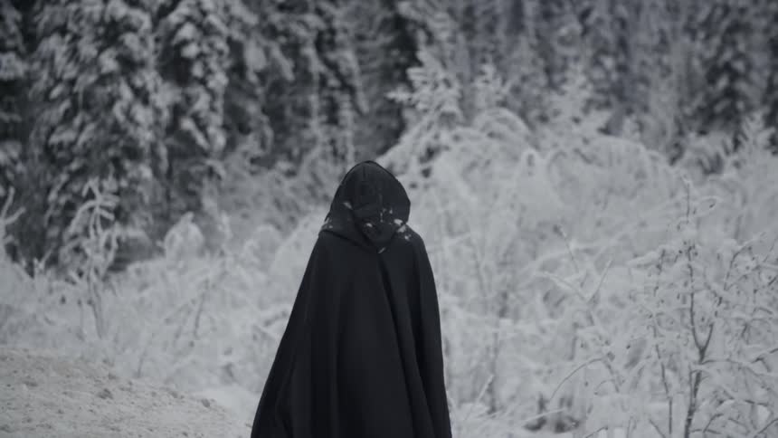 A person wearing black robes is walking towards a snow covered forest