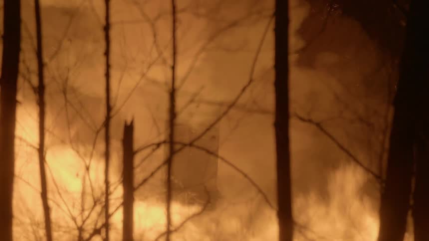 A forest fire surrounds an object