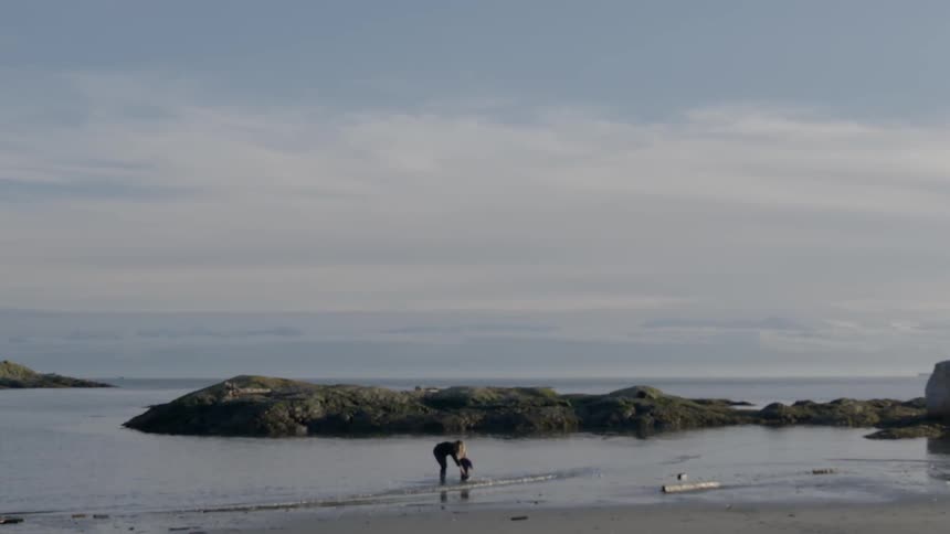 A person and child are standing on the shore on a cloudy day