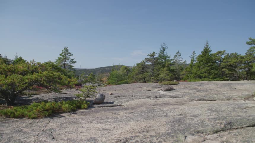 Large flat stone clearing surrounded by conifers overlooks mountain on horizon