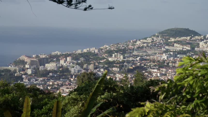 A coastal city with the ocean in the background
