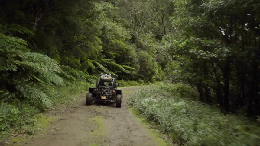 Dune buggies travel on a dirt trail through the trees and brush