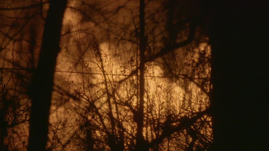 A wildfire burns in the woods
