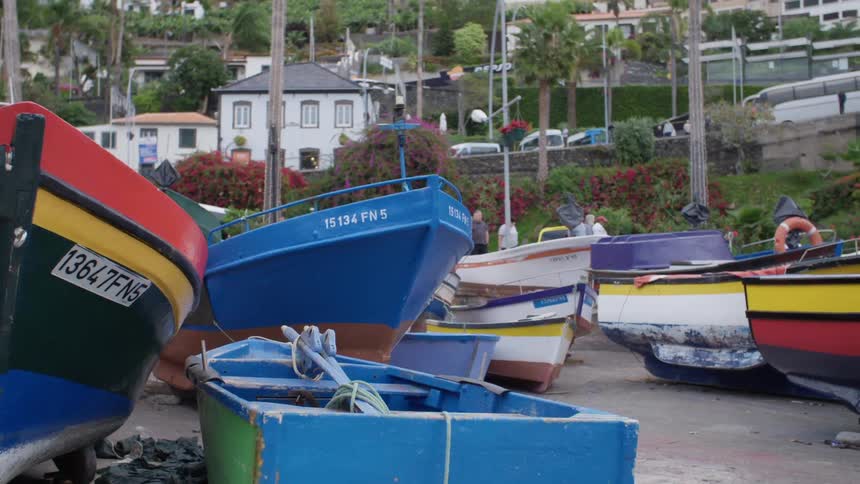 A variety of boats beached on the coast of city