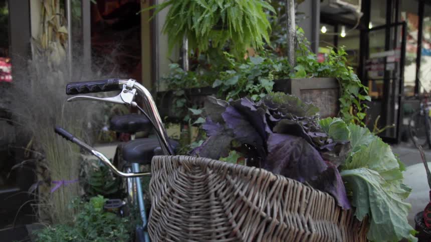 A bicycle with a basket filled with leafy vegetable sits outside a building
