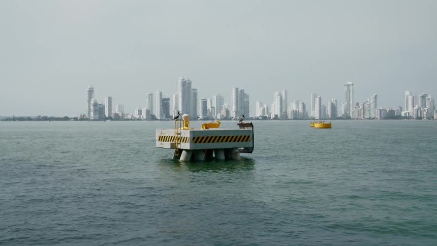 Two birds sit on a concrete platform off the coast with a city skyline behind
