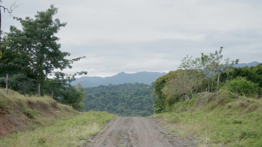 Dirt road leads downhill