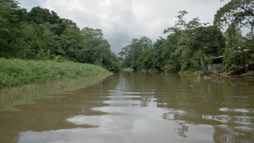 Murky river gently flowing through the rainforest