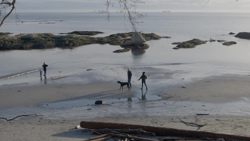 People are walking along the shore on a cloudy day