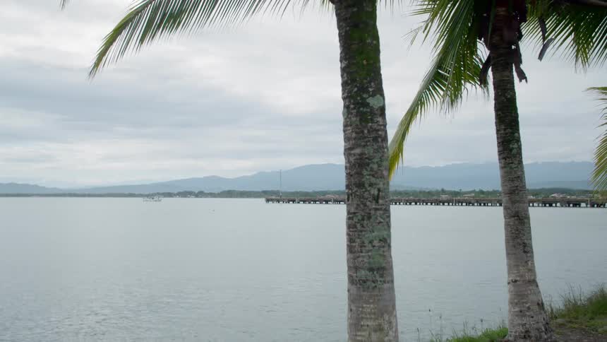Palm trees on the coast of a tropical beach near pier