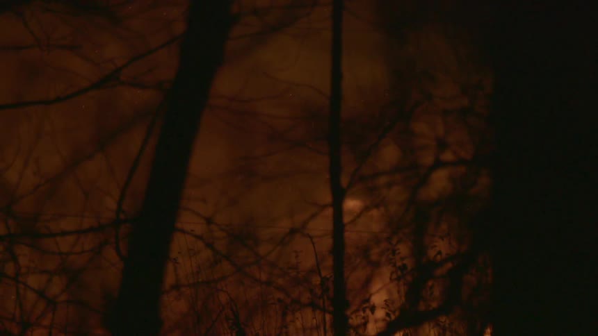 Smoke and fire blazing in a wooded area