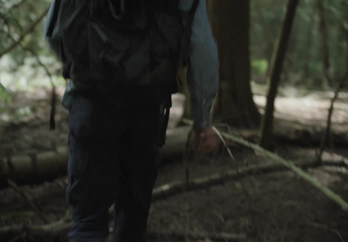 Man and woman step over fallen tree while hiking through forest